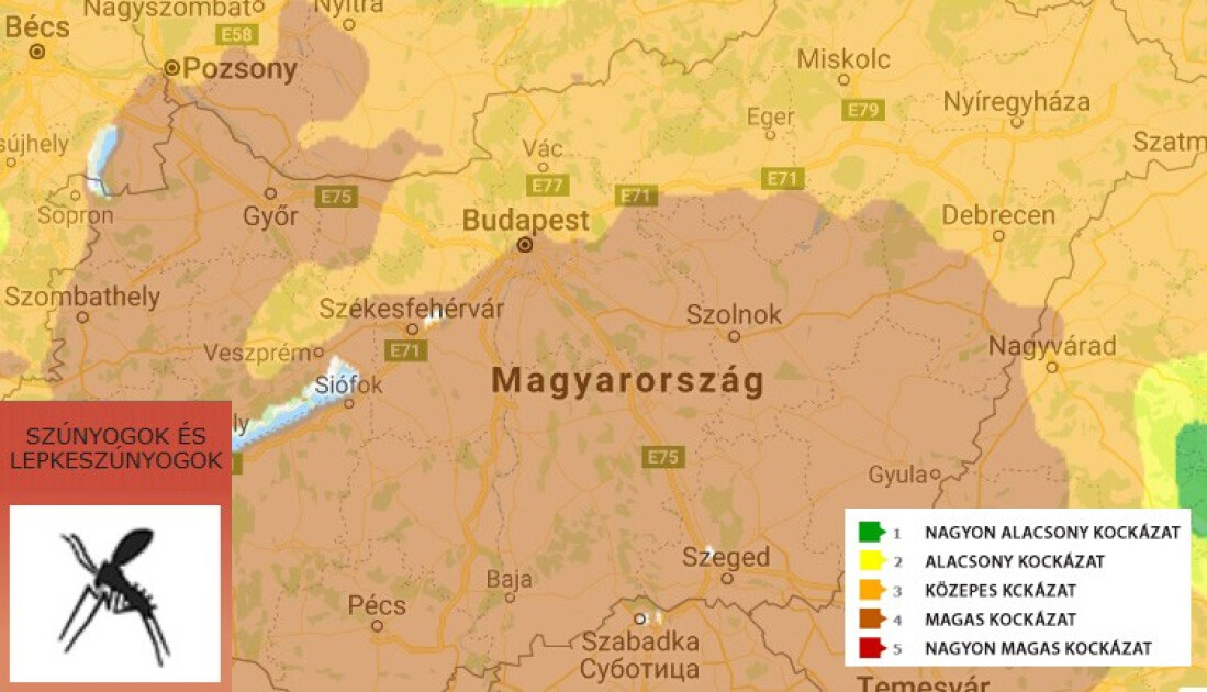 Mennyire aktívak ősszel a bolhák, a kullancsok és a szúnyogok? | Házipatika