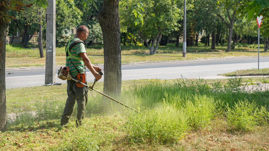 Orvosometeo: nem várt augusztusig, már most támad a parlagfűpollen