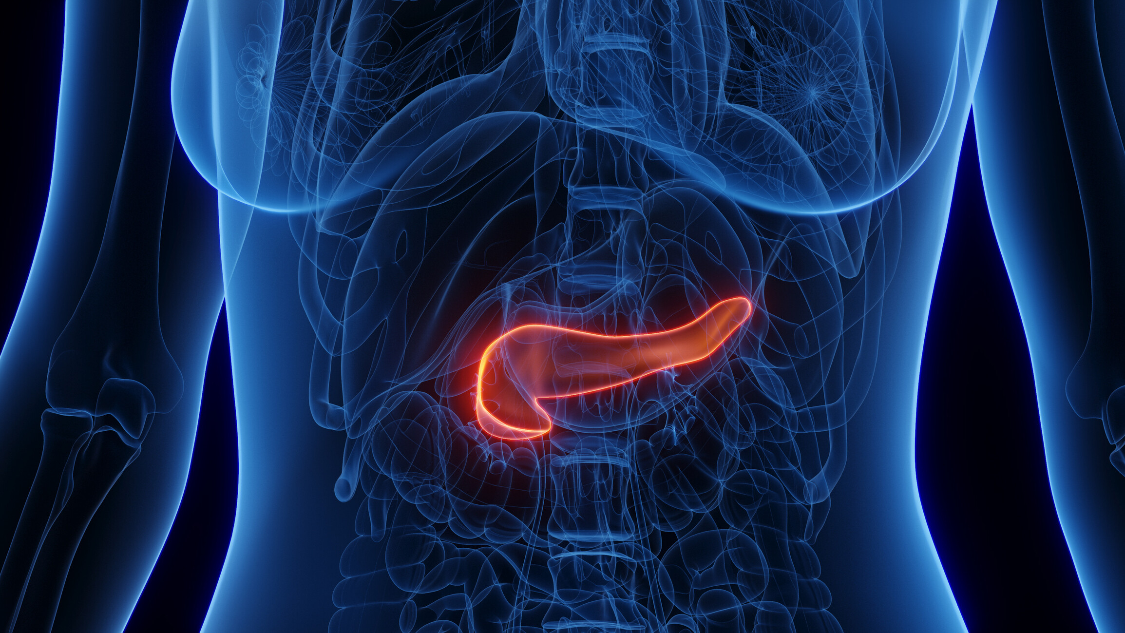 Rejtett együttműködést fedeztek fel a daganatnövekedésben - az idegek “táplálják” a hasnyálmirigyrákot