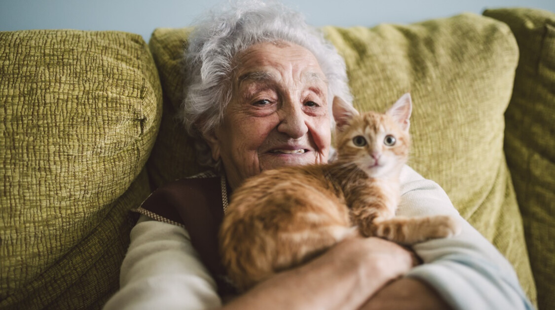 Las mascotas estarán incluidas en el cuidado de hospicio. Las mascotas estarán incluidas en el cuidado de hospicio.