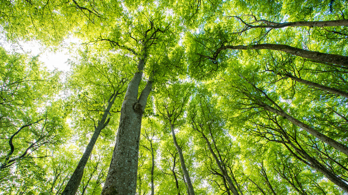 Orvosmeteorológia: a párás-ködös reggel megterheli a szervezetet