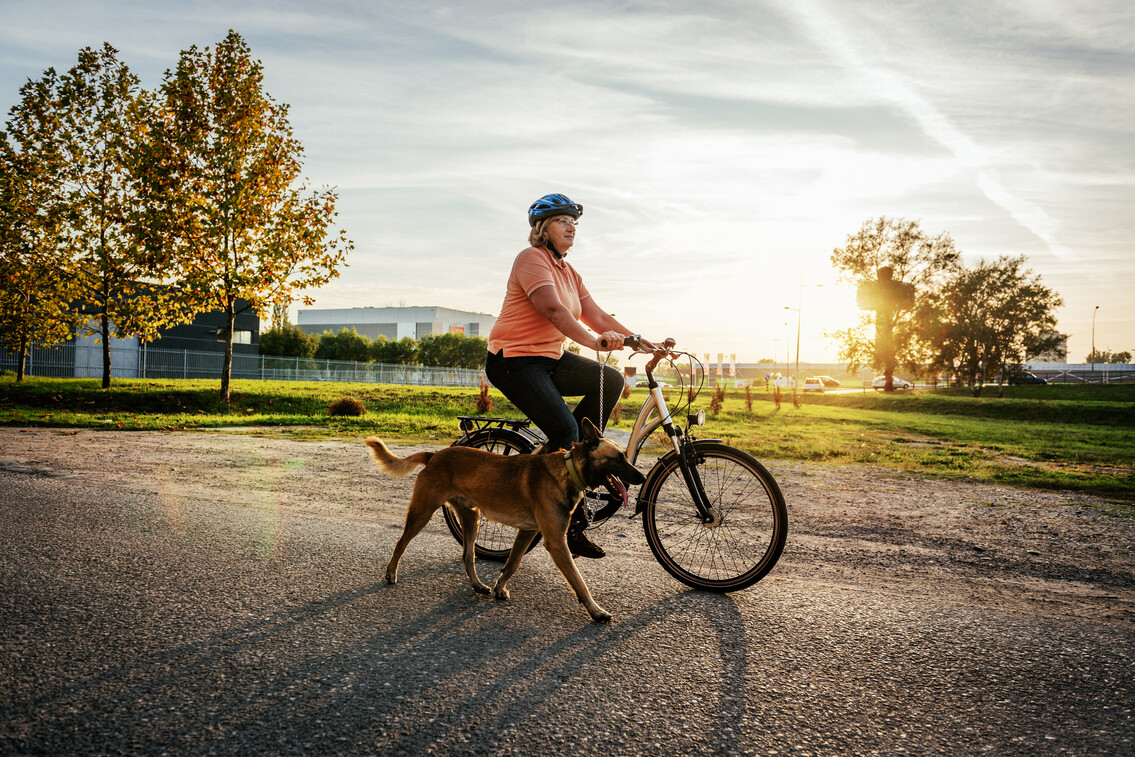 Ezek a legjobb kutyás sportok