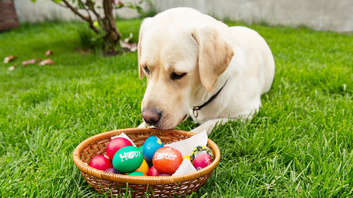 Orvosmeteorológia: ha frontérzékeny vagy, ingerlékeny lehetsz húsvéthétfőn