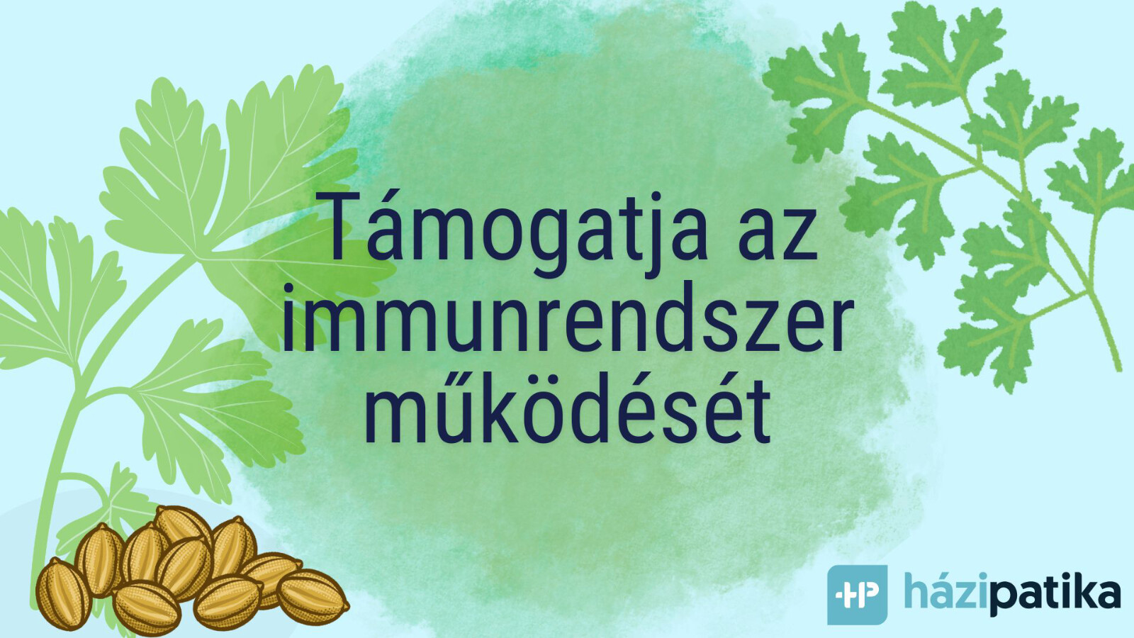 szöveg: <b>Támogatja az immunrendszer működését</b>