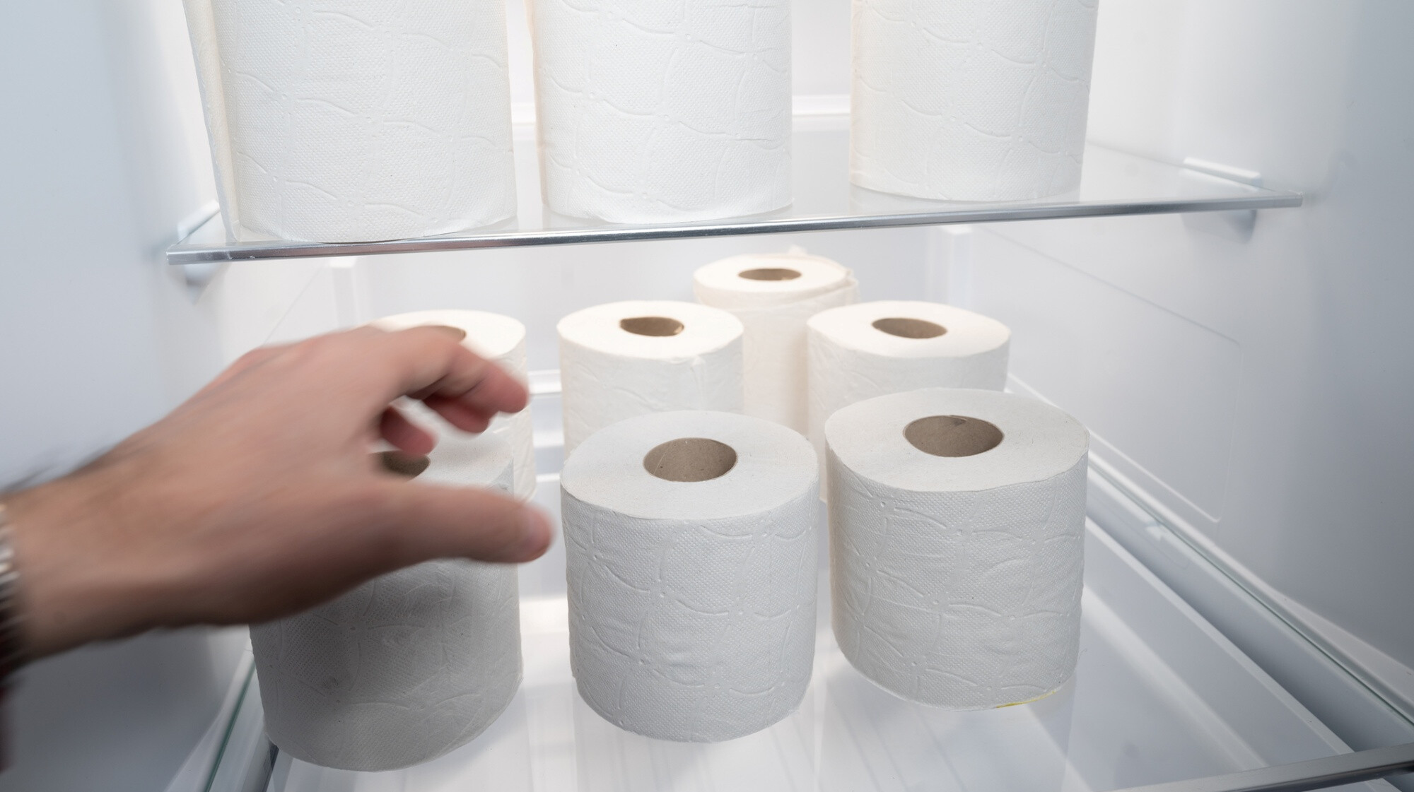 Egyre többen raknak WC-papírt a hűtőbe – Nem hinnéd, miben segít