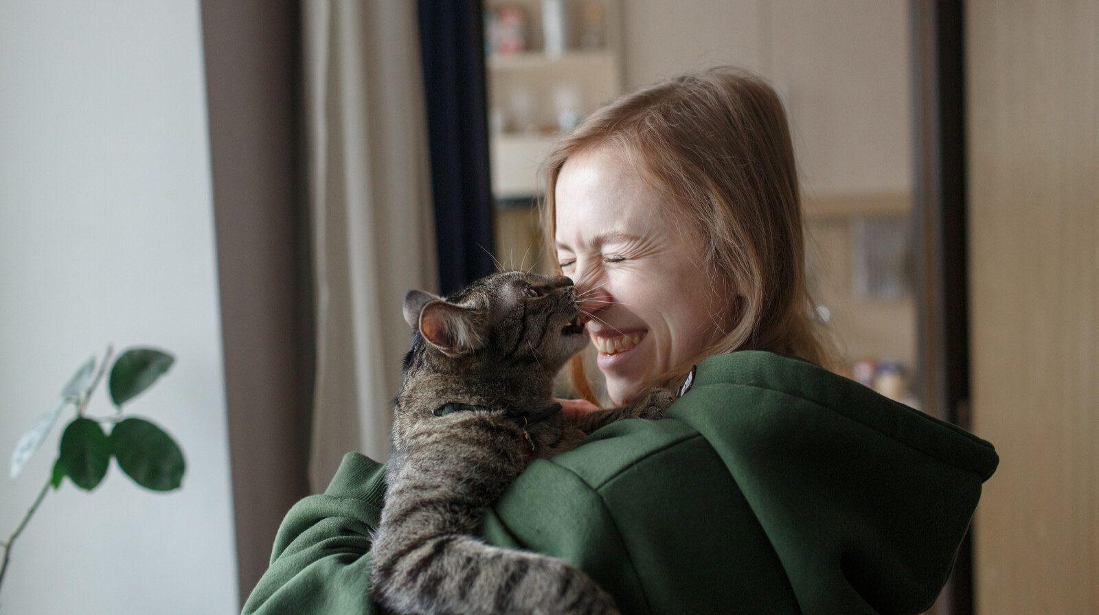 Ezért harap meg a macskád – 6-féle dolgot is jelezhet ezzel a kedvenced