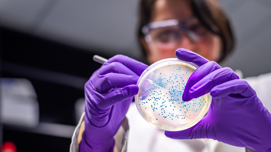 Így váltak legyőzhetetlenné a szuperbaktériumok