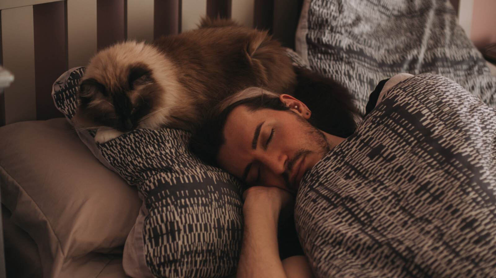 Miért alszik a macska a gazdi fejénél? Négyféle oka lehet