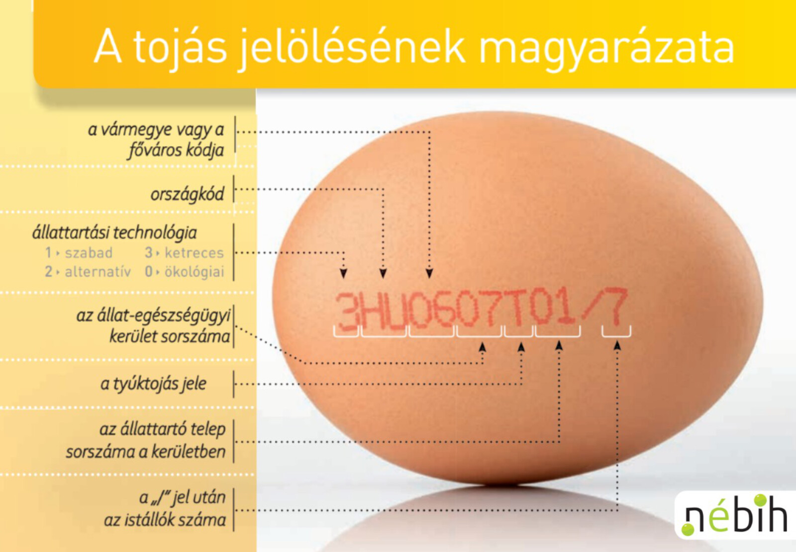 tojások jelölésének jelentése