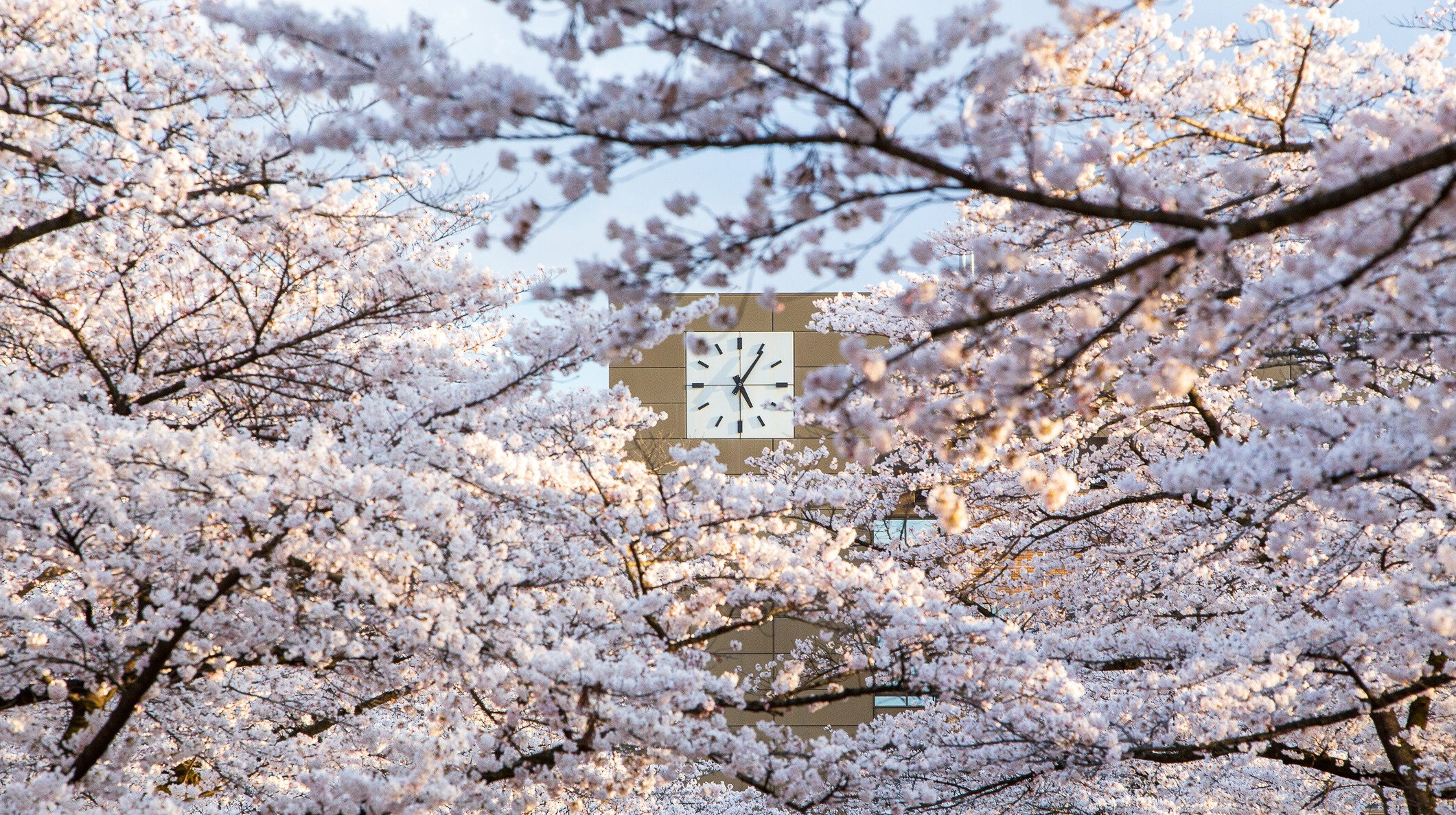 Ezért káros a szervezetre az óraátállítás