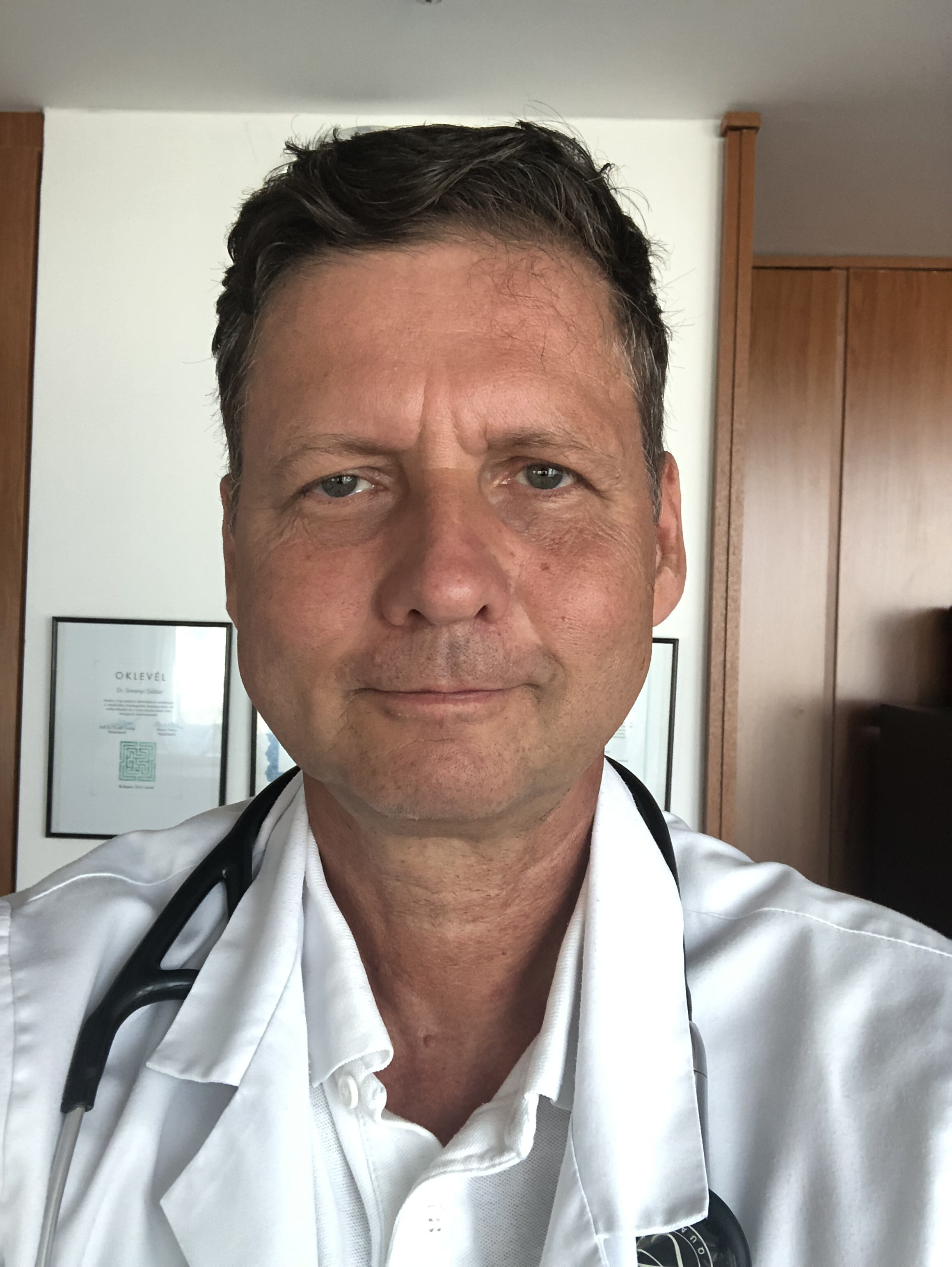 Prof. Dr. Simonyi Gábor