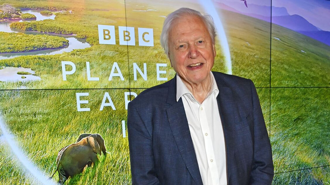 A hosszú élet 4 titka: erre esküszik a százéves David Attenborough