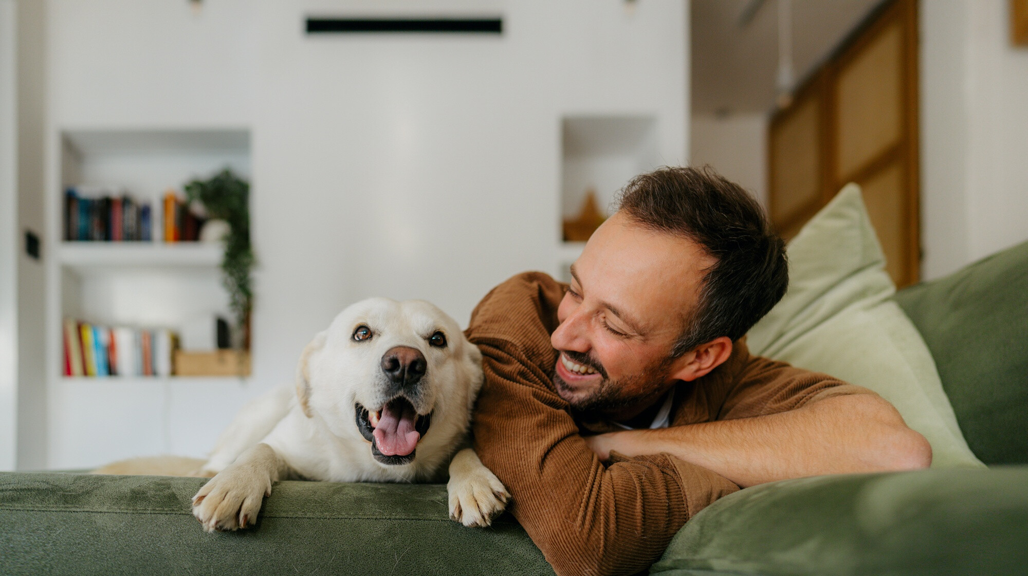 A kutyatartás 5 bizonyított hatása: így védik egészségünket a négylábúak