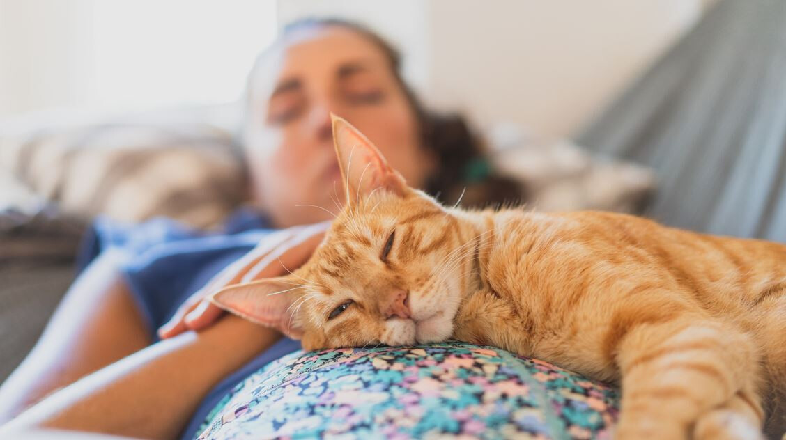 Jelek, hogy a macskád megbetegít: ezeket a tüneteket ne vedd félvállról